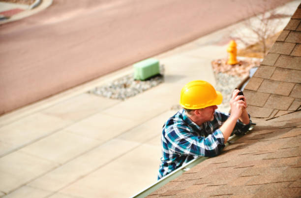 Best Roof Gutter Cleaning  in Zion, IL