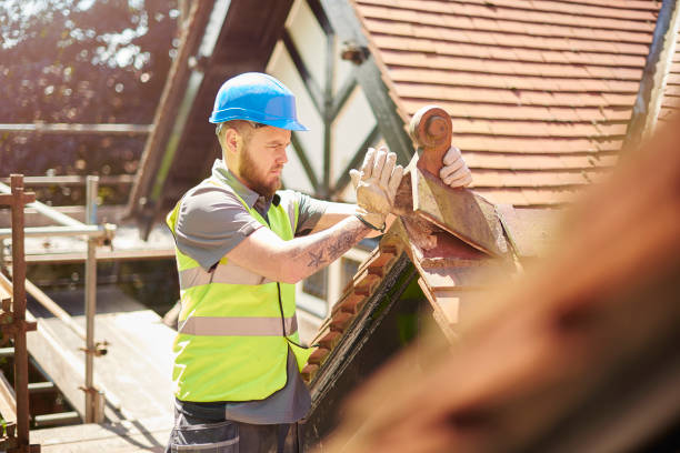 Best Metal Roofing Contractor  in Zion, IL