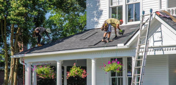 Best Metal Roofing Contractor  in Zion, IL