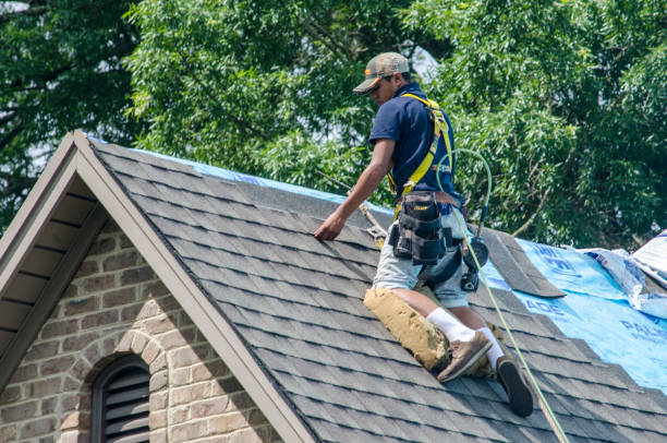 Best Roof Maintenance Services  in Zion, IL